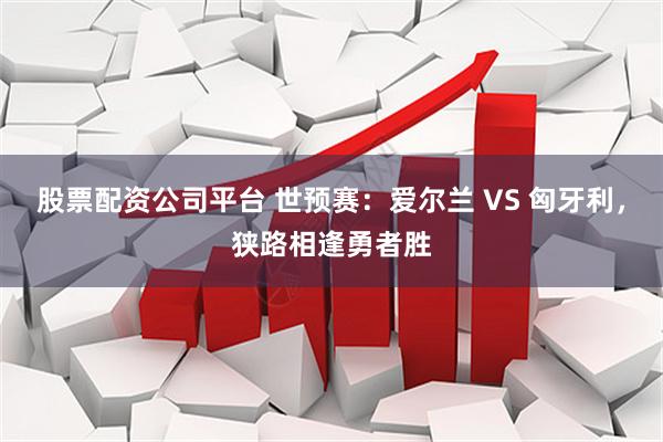 股票配资公司平台 世预赛：爱尔兰 VS 匈牙利，狭路相逢勇者胜