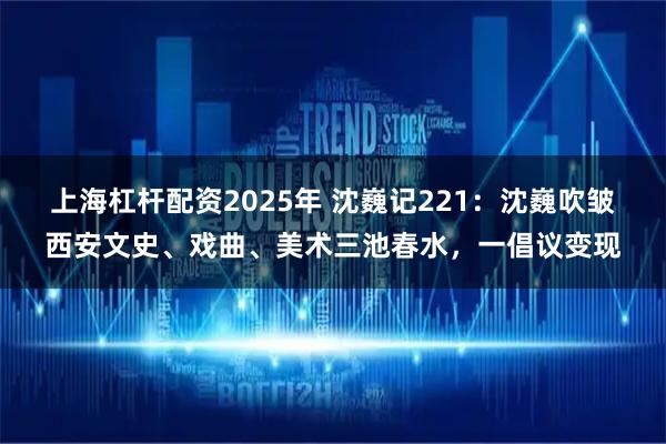 上海杠杆配资2025年 沈巍记221：沈巍吹皱西安文史、戏曲、美术三池春水，一倡议变现